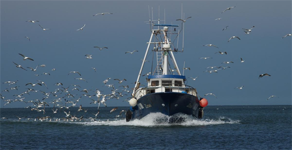 Pesca, Confcooperative Fedagripesca: “Sostegno alla linea La Pietra, servono dati aggiornati e... 