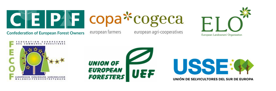 Sono necessari ulteriori provvedimenti per garantire che la semplificazione del regolamento UE sulla deforestazione diventi una realtà concreta per i proprietari e le cooperative forestali