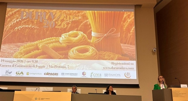 Grano duro, nel 2026 produzione nazionale si attesta su 3,8 mln di tonnellate (+5%). surplus... 
