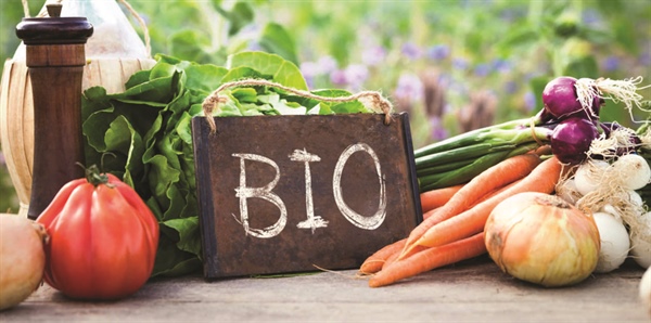 Biologico, nell’ortofrutta la quota di mercato è del 4%, ma con grosse potenzialità di sviluppo 